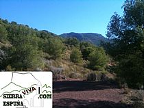 Senda espeleológica a la cueva de la moneda en Sierra Espuña - Foto 7