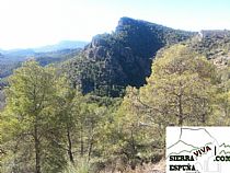 SENDA MORTI ALGARROBOS MORRÓN LARGO (SIERRA ESPUÑA)