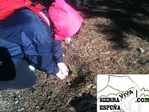 CIRCULAR AL MORRÓN DE ESPUÑA, CELEBRANDO EL DÍA DEL ÁRBOL.(Sierra Espuña) - Foto 10