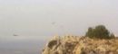 fotos de buitres volando en Sierra Espuña
