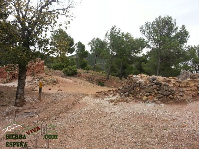 Carrascas, robles quejidos y cipreses de la zona entre el Collado Pilón y la Casa Forestal del Barranco de Enmedio en Sierra Espuña - 6