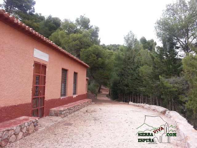 Carrascas, robles quejidos y cipreses de la zona entre el Collado Pilón y la Casa Forestal del Barranco de Enmedio en Sierra Espuña - 19