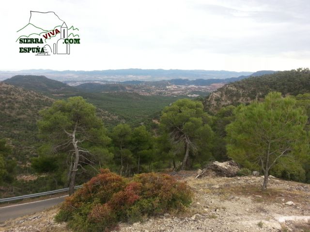 Carrascas, robles quejidos y cipreses de la zona entre el Collado Pilón y la Casa Forestal del Barranco de Enmedio en Sierra Espuña - 37