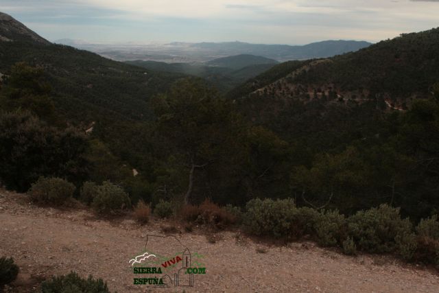 Paisaje y carrascas en Collado Bermejo y Peña Apartada en Sierra Espuña - 3