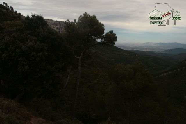 Paisaje y carrascas en Collado Bermejo y Peña Apartada en Sierra Espuña - 7