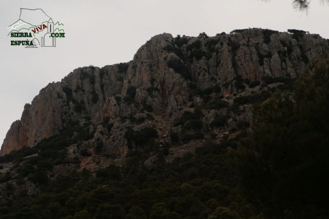 Paisaje y carrascas en Collado Bermejo y Peña Apartada en Sierra Espuña - 12