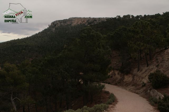 Paisaje y carrascas en Collado Bermejo y Peña Apartada en Sierra Espuña - 18