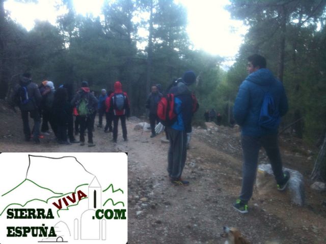 Repoblación de encinas en Sierra Espuña organizado por el club senderista de totana - 12