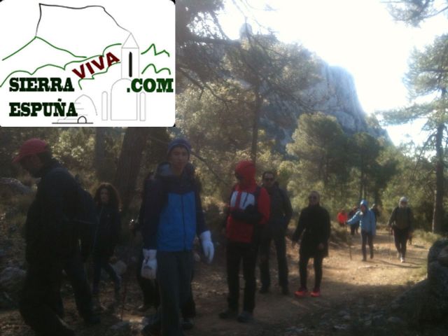 Repoblación de encinas en Sierra Espuña organizado por el club senderista de totana - 13