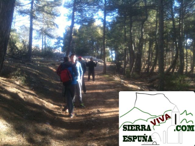 Repoblación de encinas en Sierra Espuña organizado por el club senderista de totana - 15