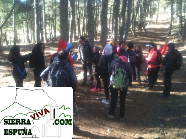 Repoblación de encinas en Sierra Espuña organizado por el club senderista de totana - 16