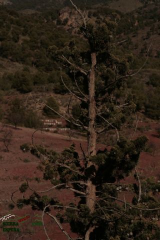 Reportaje alrededores de La Santa (Sierra Espuña) - 2