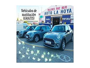 NUEVOS COCHES DE SUSTITUCIÓN GRATIS