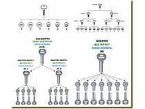 Amaestramientos - Foto 1 Amaestramientos - Foto 1