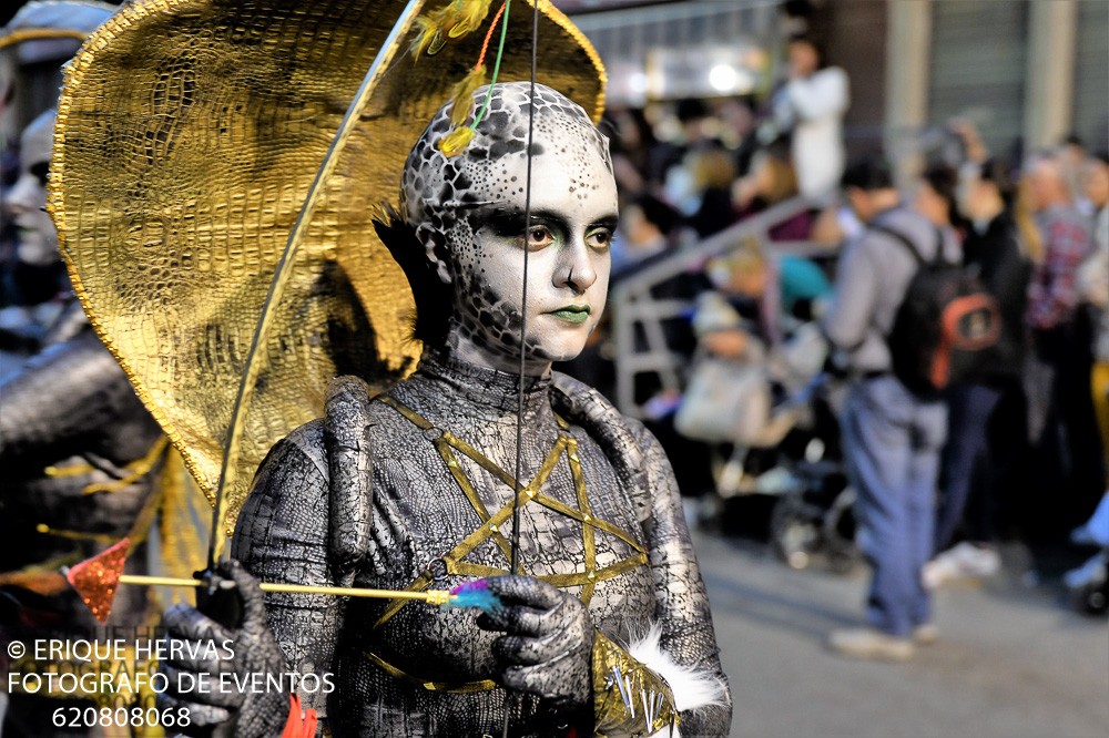 CARNAVAL CABEZO DE TORRES MARTES  2019 - 17