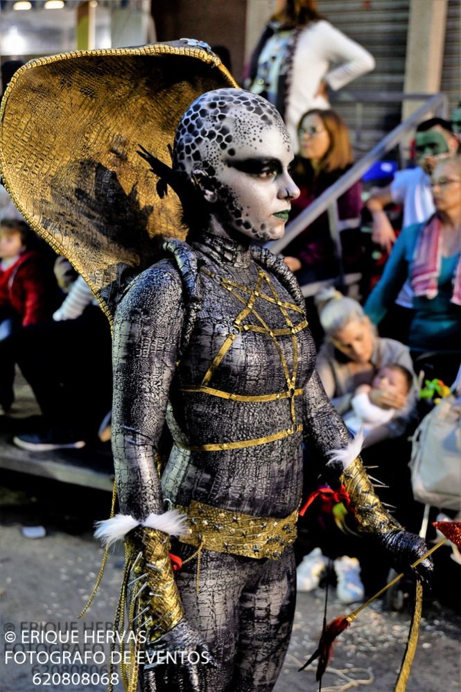 CARNAVAL CABEZO DE TORRES MARTES  2019 - 27