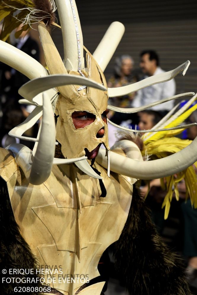 CARNAVAL CABEZO DE TORRES MARTES  2019 - 44