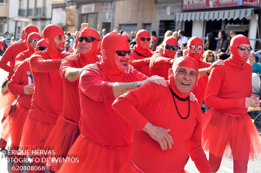 CARNAVAL CABEZO DE TORRES MARTES  2019 - 224