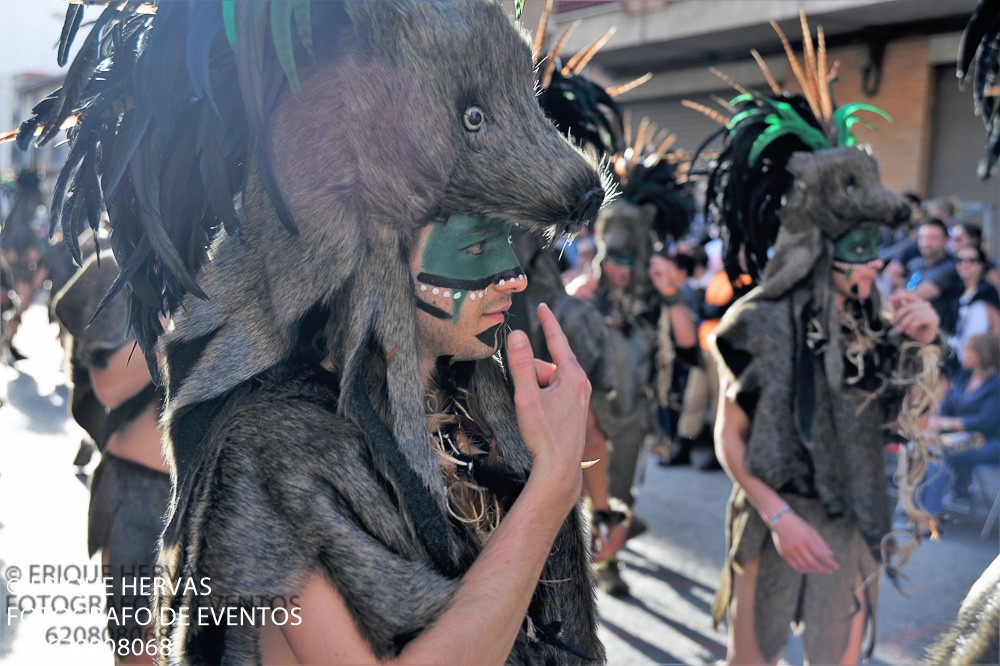 CARNAVAL CABEZO DE TORRES MARTES  2019 - 283