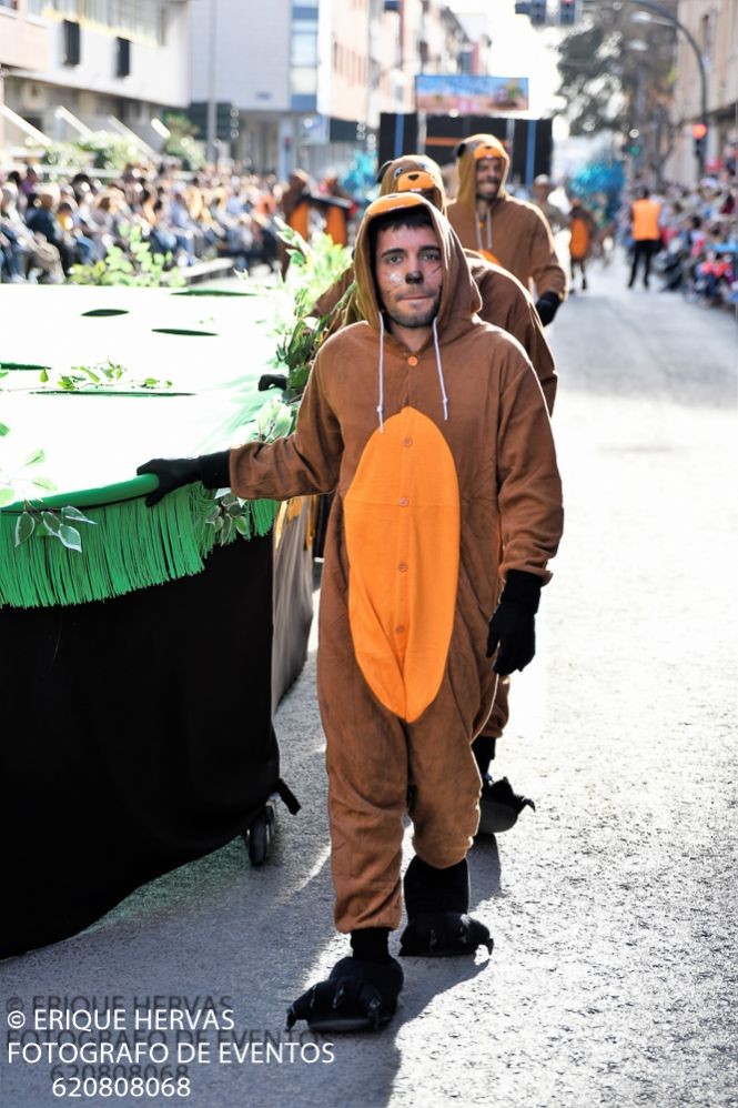 CARNAVAL CABEZO DE TORRES MARTES  2019 - 287