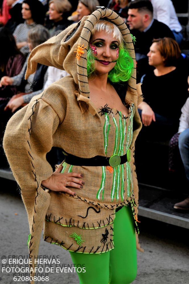 CARNAVAL CABEZO DE TORRES MARTES  2019 - 494