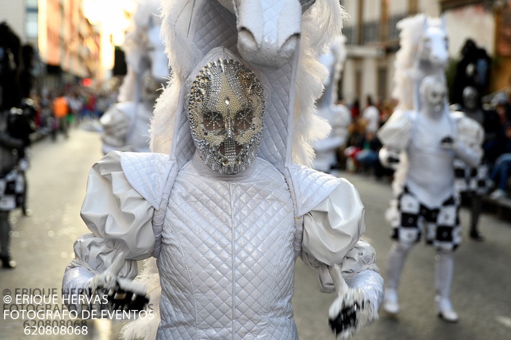 CARNAVAL CABEZO DE TORRES MARTES  2019 - 584