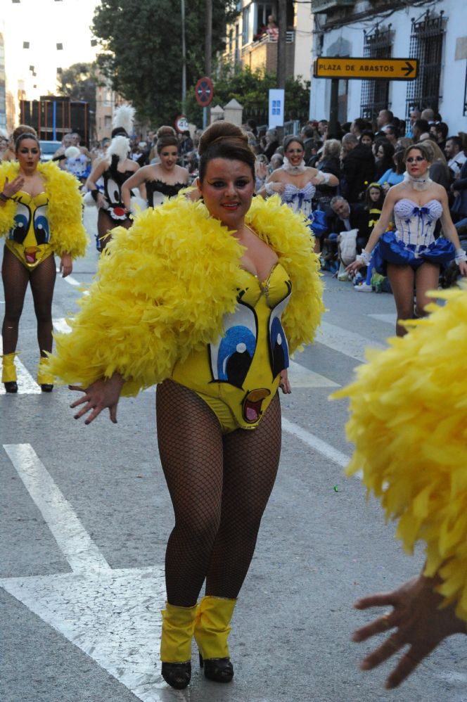 CARNAVAL CABEZO DE TORRES MURCIA DOMINGO 11.02.2018 - 244