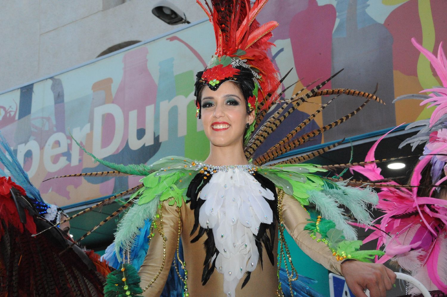 CARNAVAL CABEZO DE TORRES MURCIA DOMINGO 11.02.2018 - 321