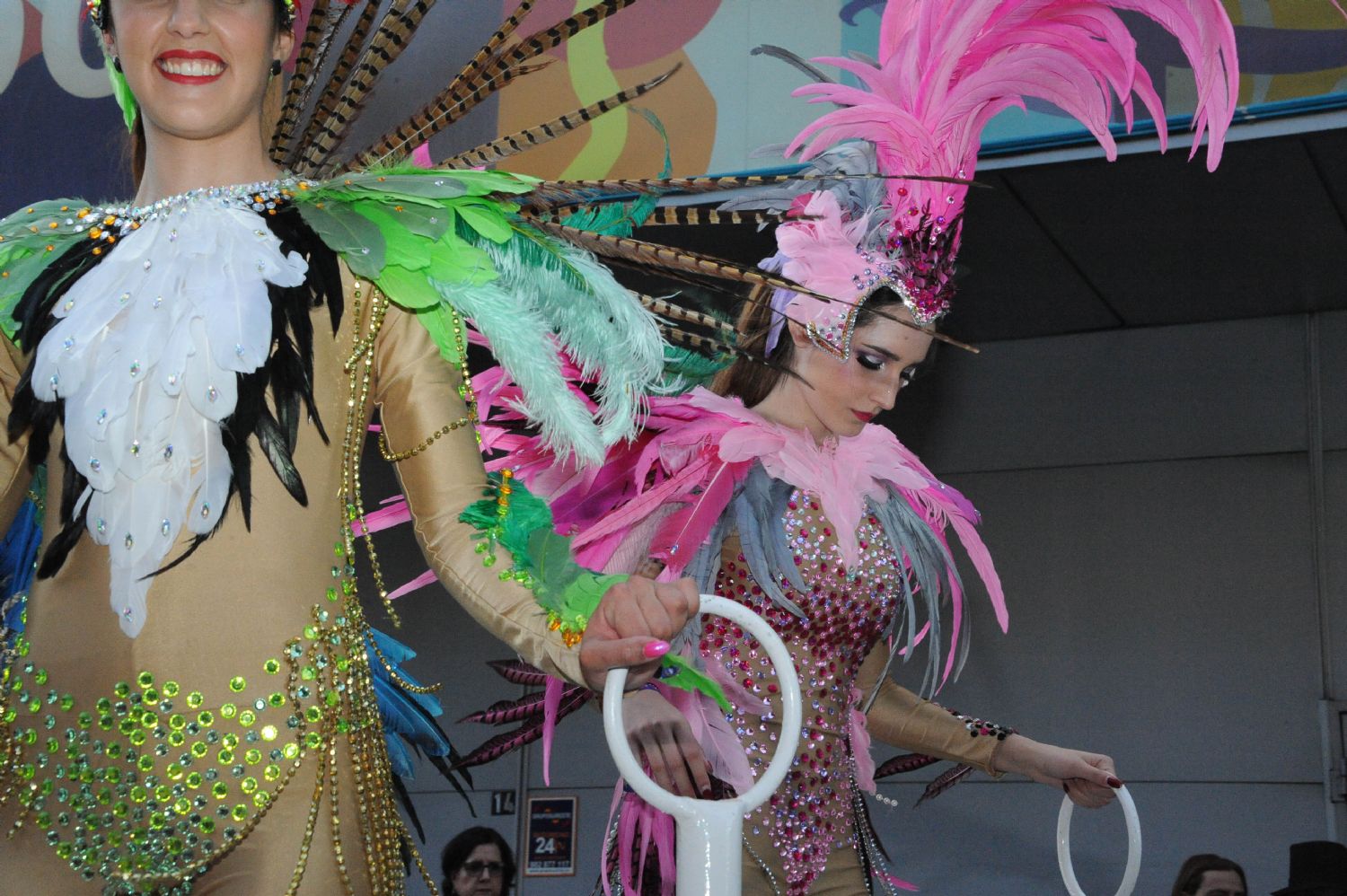 CARNAVAL CABEZO DE TORRES MURCIA DOMINGO 11.02.2018 - 322