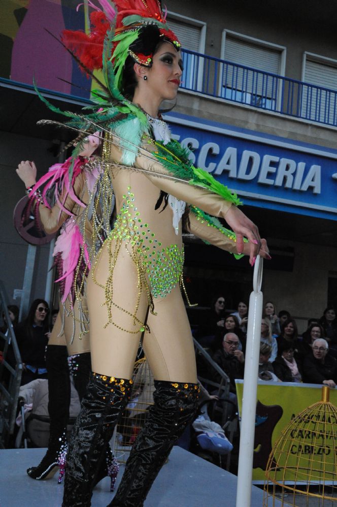 CARNAVAL CABEZO DE TORRES MURCIA DOMINGO 11.02.2018 - 327