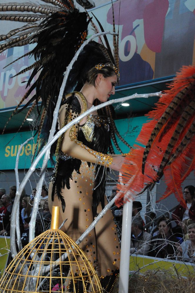 CARNAVAL CABEZO DE TORRES MURCIA DOMINGO 11.02.2018 - 332