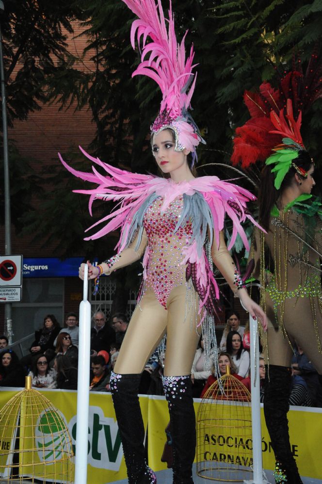 CARNAVAL CABEZO DE TORRES MURCIA DOMINGO 11.02.2018 - 339