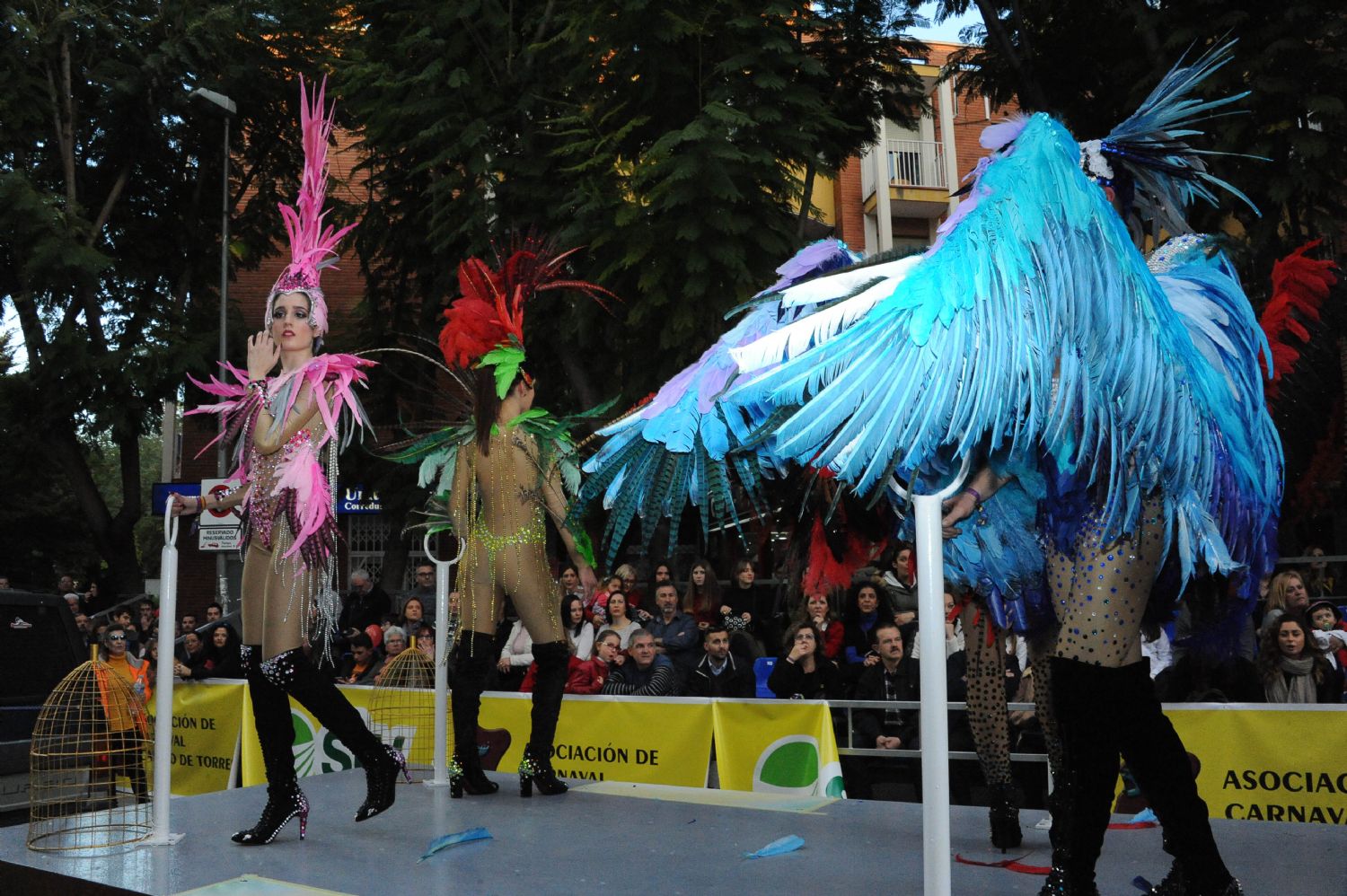 CARNAVAL CABEZO DE TORRES MURCIA DOMINGO 11.02.2018 - 340