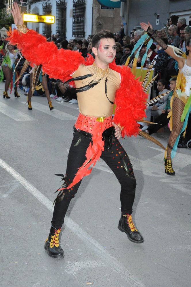 CARNAVAL CABEZO DE TORRES MURCIA DOMINGO 11.02.2018 - 345