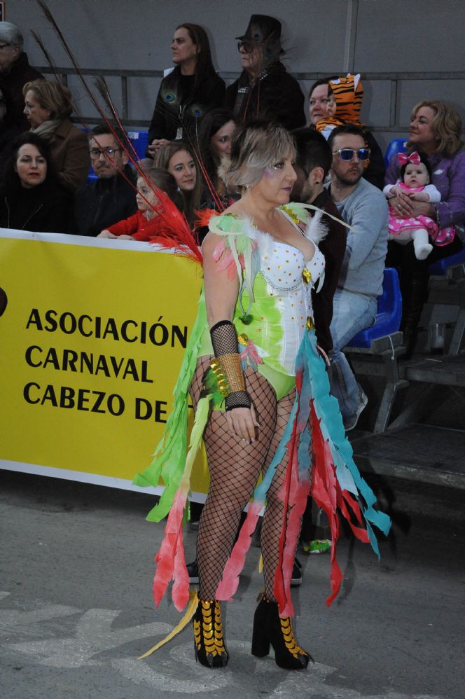 CARNAVAL CABEZO DE TORRES MURCIA DOMINGO 11.02.2018 - 359