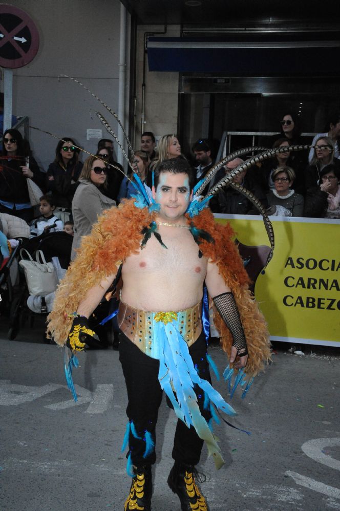 CARNAVAL CABEZO DE TORRES MURCIA DOMINGO 11.02.2018 - 366