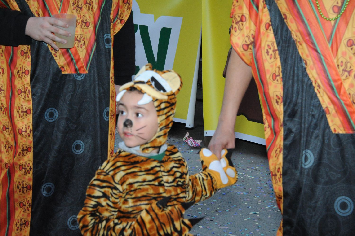 CARNAVAL CABEZO DE TORRES MURCIA DOMINGO 11.02.2018 - 386