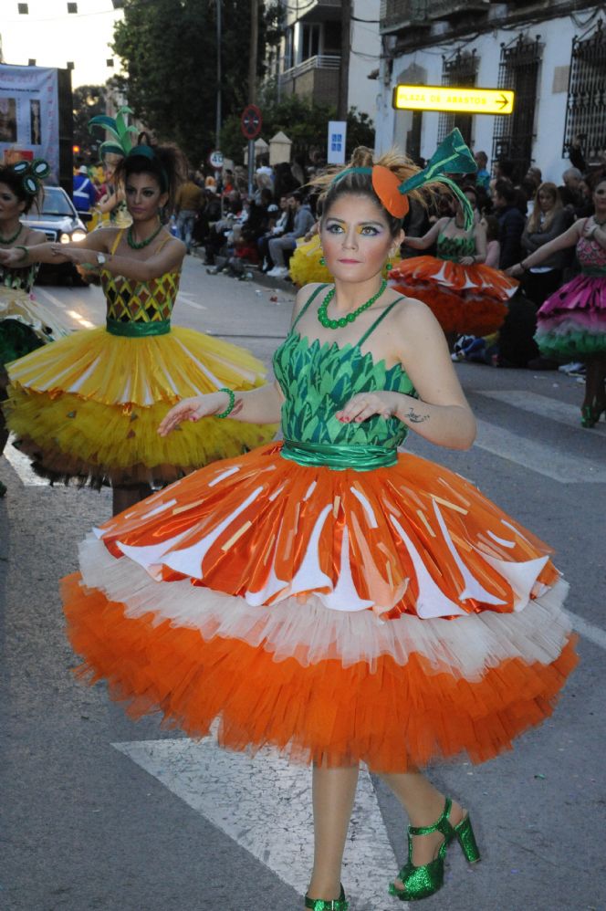 CARNAVAL CABEZO DE TORRES MURCIA DOMINGO 11.02.2018 - 484