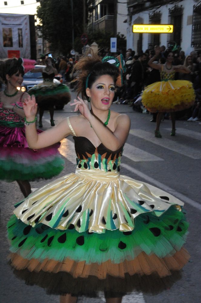 CARNAVAL CABEZO DE TORRES MURCIA DOMINGO 11.02.2018 - 489