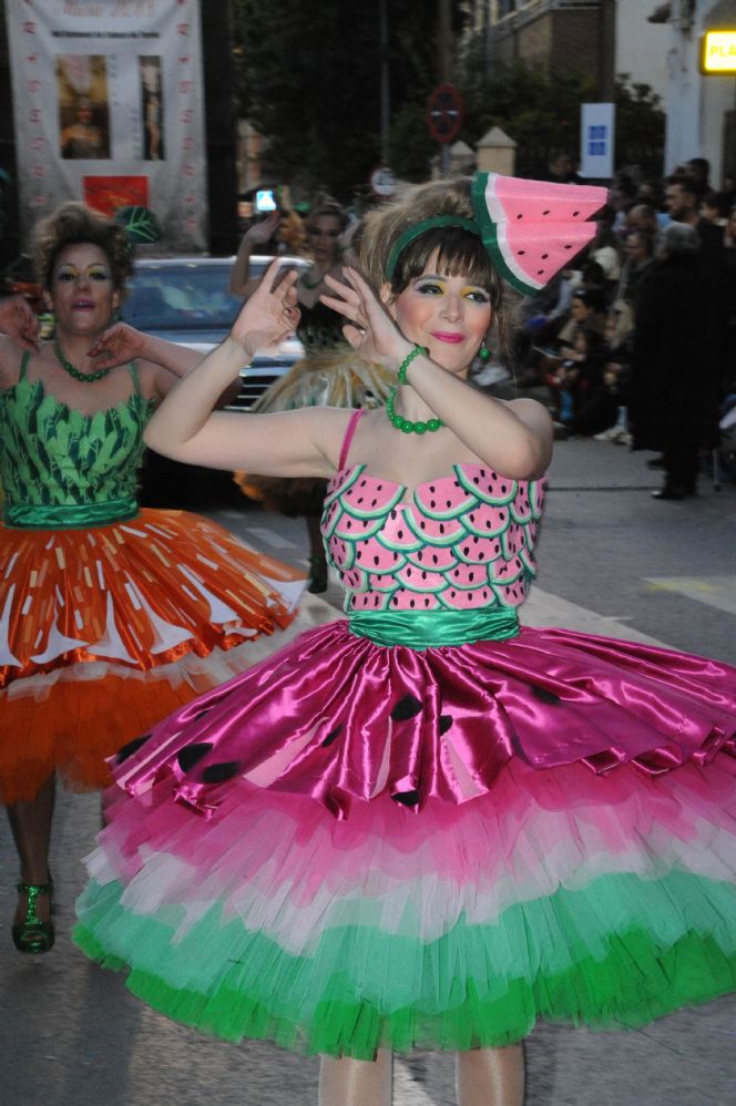 CARNAVAL CABEZO DE TORRES MURCIA DOMINGO 11.02.2018 - 491