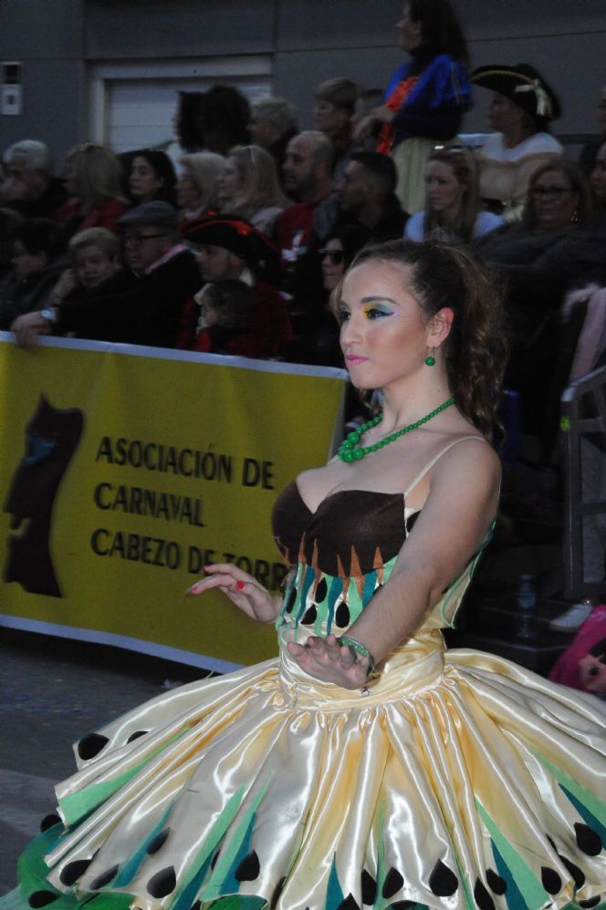 CARNAVAL CABEZO DE TORRES MURCIA DOMINGO 11.02.2018 - 504