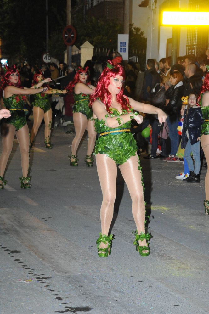 CARNAVAL CABEZO DE TORRES MURCIA DOMINGO 11.02.2018 - 590