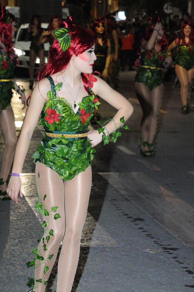 CARNAVAL CABEZO DE TORRES MURCIA DOMINGO 11.02.2018 - 591