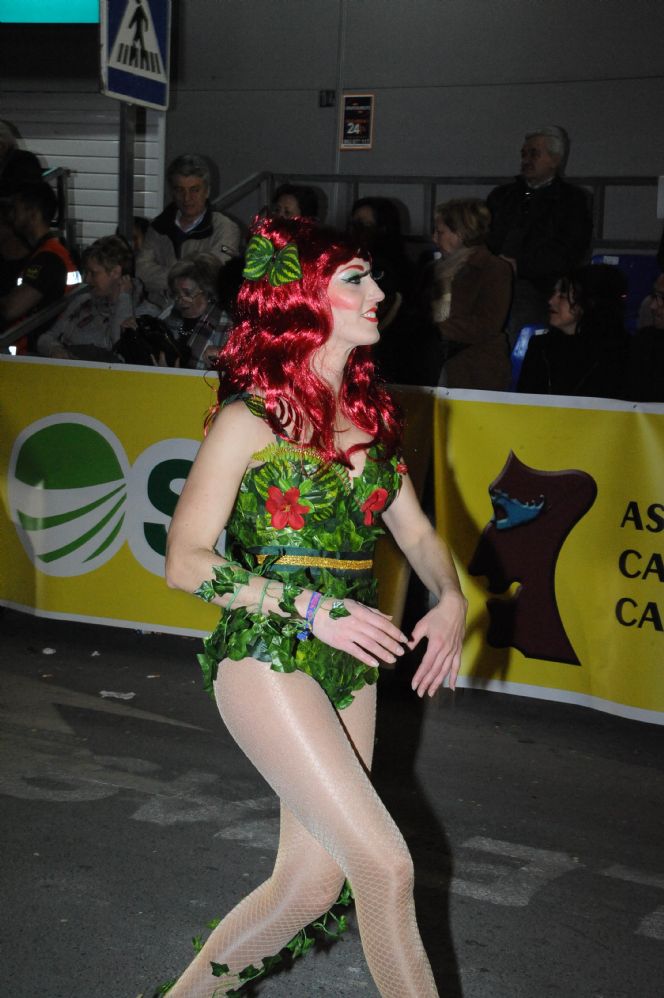 CARNAVAL CABEZO DE TORRES MURCIA DOMINGO 11.02.2018 - 616