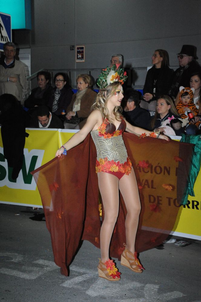 CARNAVAL CABEZO DE TORRES MURCIA DOMINGO 11.02.2018 - 622