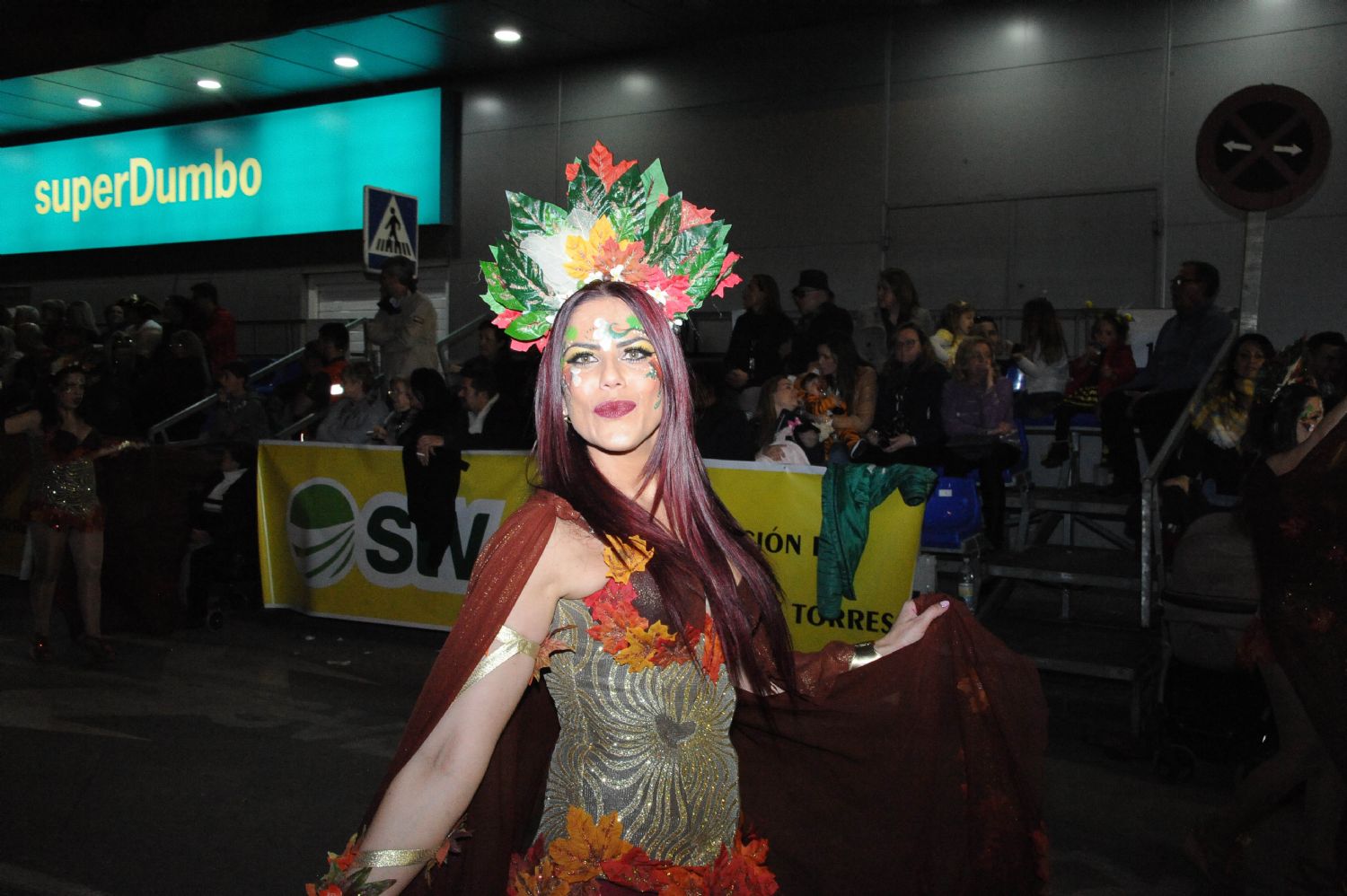 CARNAVAL CABEZO DE TORRES MURCIA DOMINGO 11.02.2018 - 634