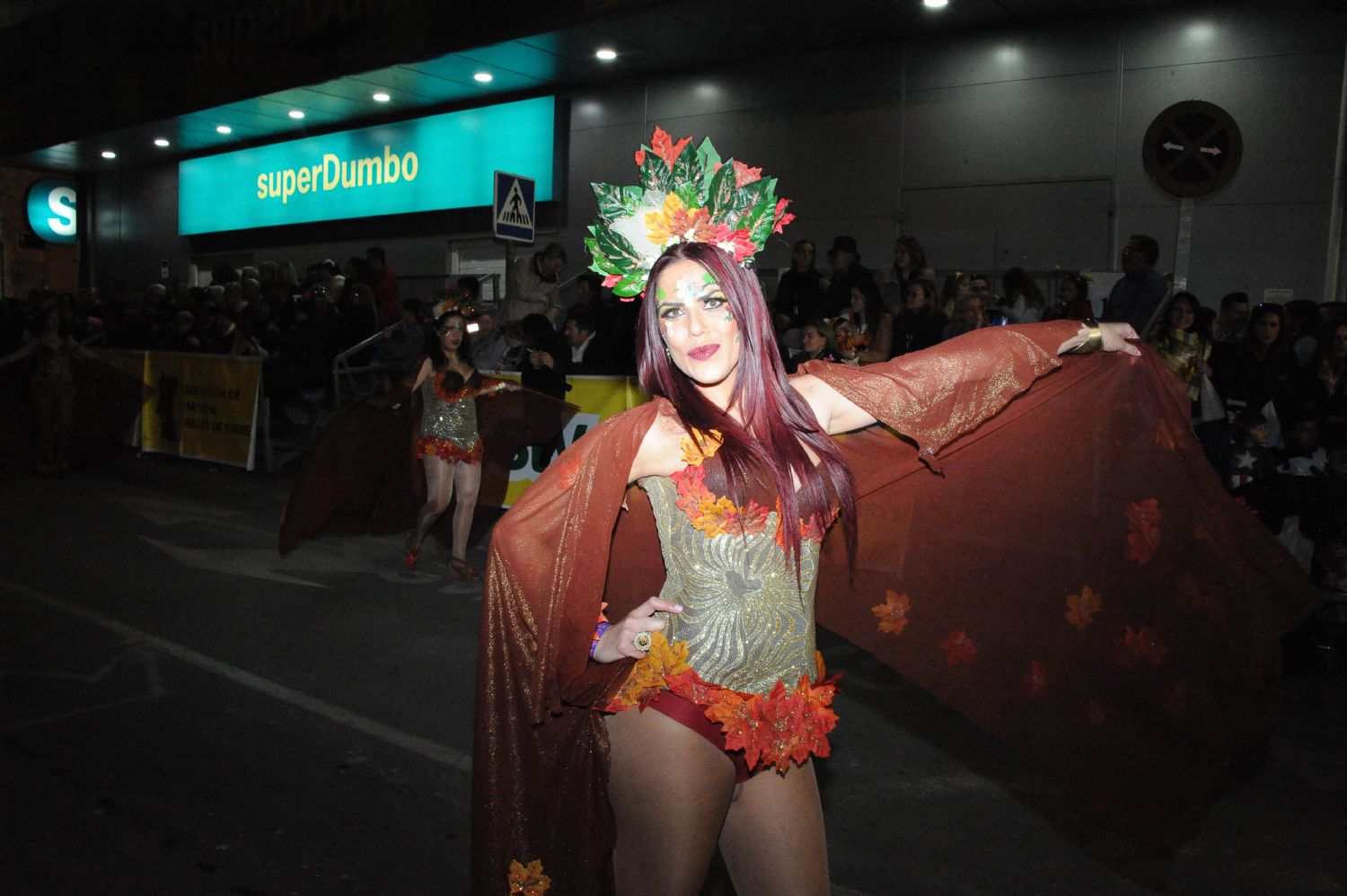 CARNAVAL CABEZO DE TORRES MURCIA DOMINGO 11.02.2018 - 635