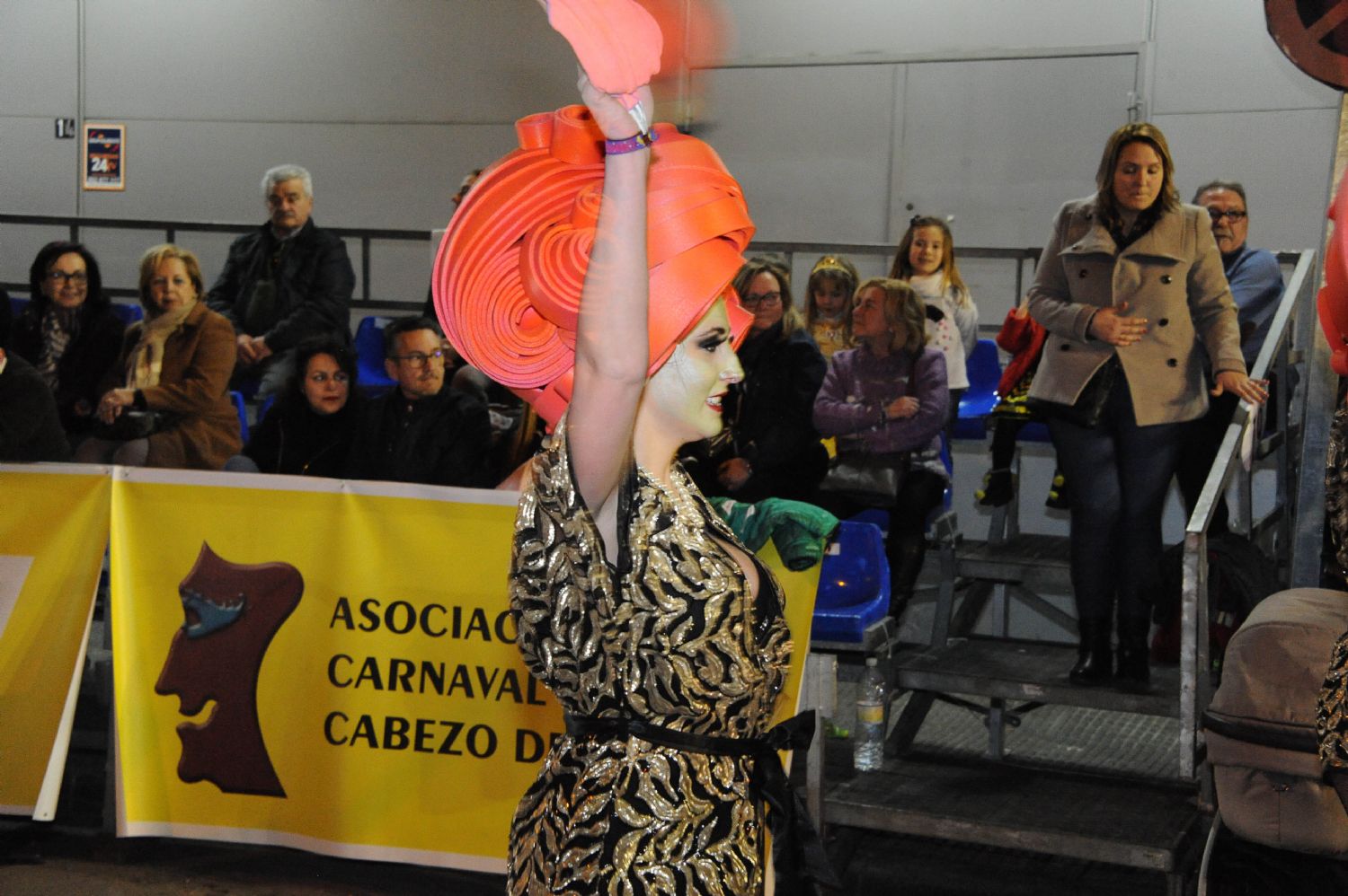 CARNAVAL CABEZO DE TORRES MURCIA DOMINGO 11.02.2018 - 666