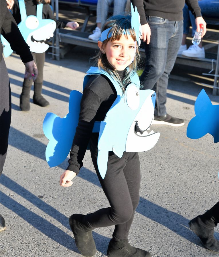 CARNAVAL INFANTIL CABEZO DE TORRES MURCIA VIERNES  - 271