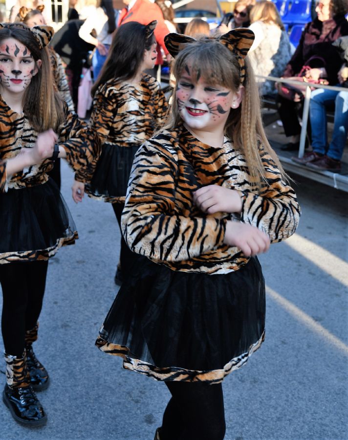 CARNAVAL INFANTIL CABEZO DE TORRES MURCIA VIERNES  - 307